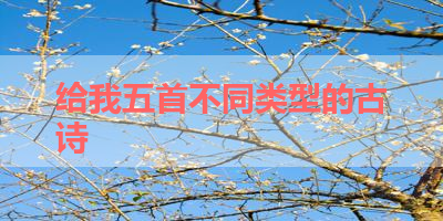 给我五首不同类型的古诗 