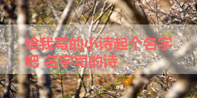 给我写的小诗起个名字吧 名字写的诗