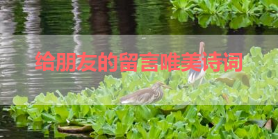 给朋友的留言唯美诗词 