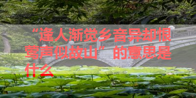 “逢人渐觉乡音异却恨莺声似故山”的意思是什么 