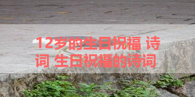 12岁的生日祝福 诗词 生日祝福的诗词