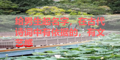 给男生起名字，在古代诗词中有依据的，有文艺感 