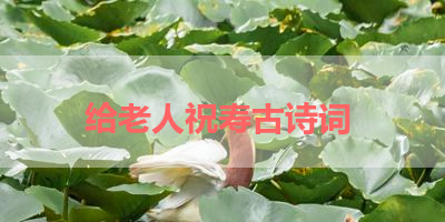 给老人祝寿古诗词 