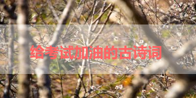 给考试加油的古诗词 