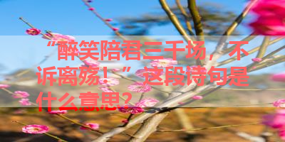 “醉笑陪君三千场，不诉离殇！”这段诗句是什么意思？ 
