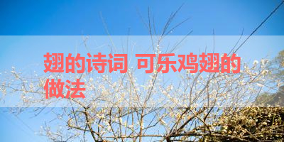 翅的诗词 可乐鸡翅的做法