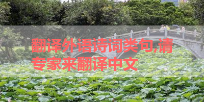 翻译外语诗词类句,请专家来翻译中文 