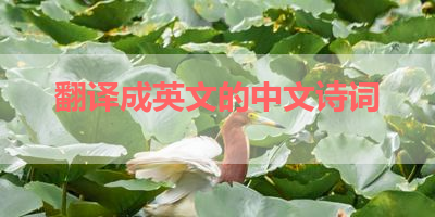 翻译成英文的中文诗词 
