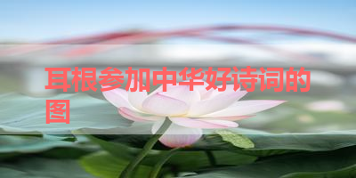 耳根参加中华好诗词的图 