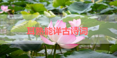 耳熟能详古诗词 