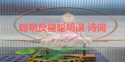 聪明反被聪明误 诗词 