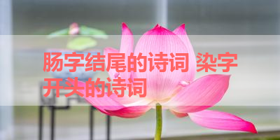 肠字结尾的诗词 染字开头的诗词