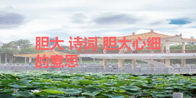 胆大 诗词 胆大心细的意思