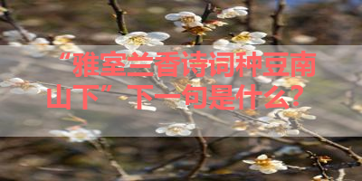“雅室兰香诗词种豆南山下”下一句是什么？ 