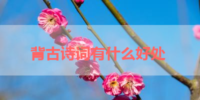 背古诗词有什么好处 