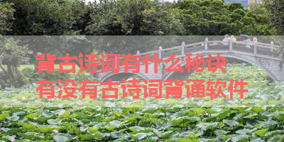 背古诗词有什么秘诀 有没有古诗词背诵软件