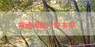 背诗词是一种本事 
