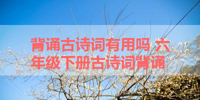 背诵古诗词有用吗 六年级下册古诗词背诵