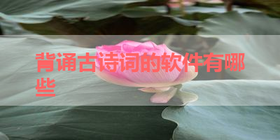 背诵古诗词的软件有哪些 