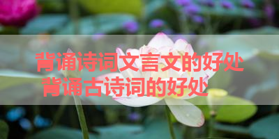 背诵诗词文言文的好处 背诵古诗词的好处