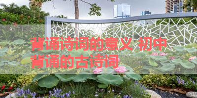 背诵诗词的意义 初中背诵的古诗词