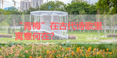 “青梅”在古代诗歌里寓意何在？ 