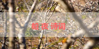 船 夜 诗词 
