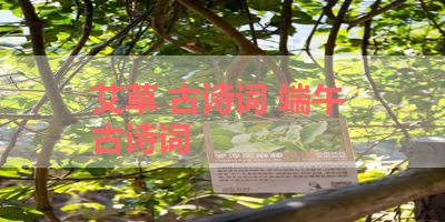 艾草 古诗词 端午 古诗词