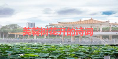 芙蓉树花开的诗词 