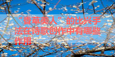 “香草美人”的比兴手法在诗歌创作中有哪些作用 