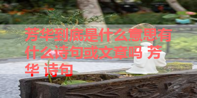 芳华到底是什么意思有什么诗句或文章吗 芳华 诗句