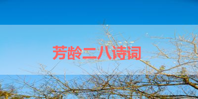 芳龄二八诗词 