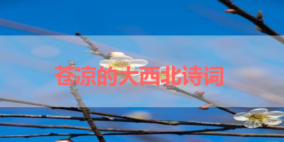 苍凉的大西北诗词 