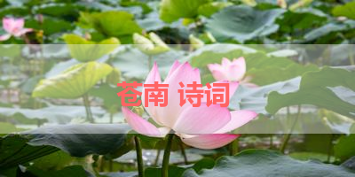 苍南 诗词 