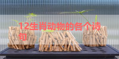 12生肖动物的各个诗句 
