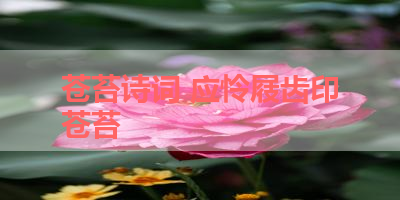 苍苔诗词 应怜屐齿印苍苔