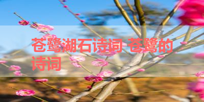 苍鹭湖石诗词 苍鹭的诗词