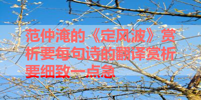 范仲淹的《定风波》赏析要每句诗的翻译赏析要细致一点急 
