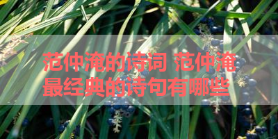 范仲淹的诗词 范仲淹最经典的诗句有哪些 