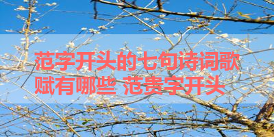 范字开头的七句诗词歌赋有哪些 范贵字开头