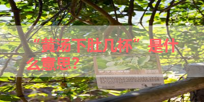 “黄汤下肚几杯”是什么意思？ 