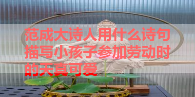 范成大诗人用什么诗句描写小孩子参加劳动时的天真可爱 