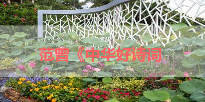 范曾《中华好诗词 