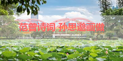 范曾诗词 孙思邈画做 