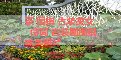 茶 围棋 古装美女   诗词 古装剧围棋唯美图片