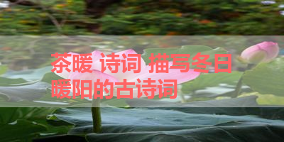 茶暖 诗词 描写冬日暖阳的古诗词
