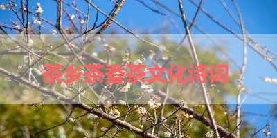 茶乡茶香茶文化诗词 