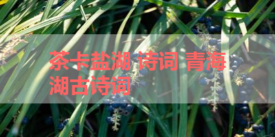 茶卡盐湖 诗词 青海湖古诗词