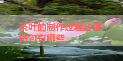 茶叶的制作过程步骤 诗句有哪些 