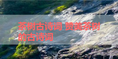 茶树古诗词 赞美茶树的古诗词 